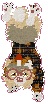 Pierre